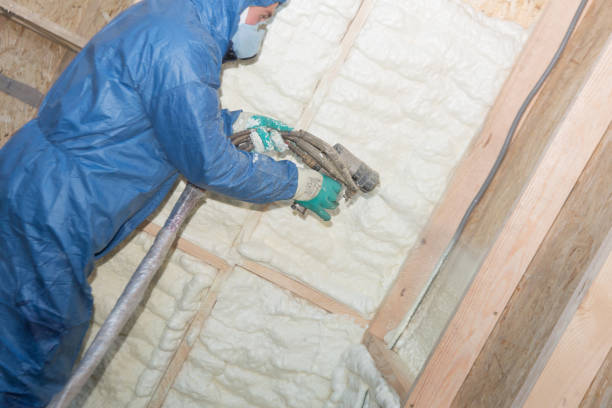 Best Wall Insulation Installation  in Arthurtown, SC